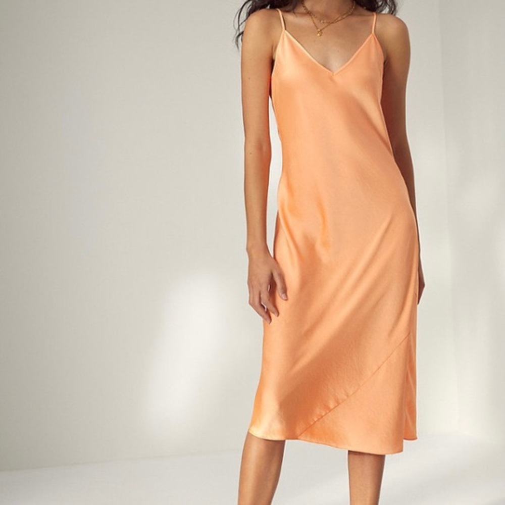 Aritzia - Wilfred Only Slip Dress